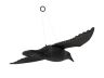 Obrázek zboží Létající krkavec, havran, maketa, odpuzovač holubů a ptáků