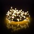 Obrázek zboží Vánoční řetěz s kuličkami 100 LED RXL 220 10+5m WW TM RETLUX